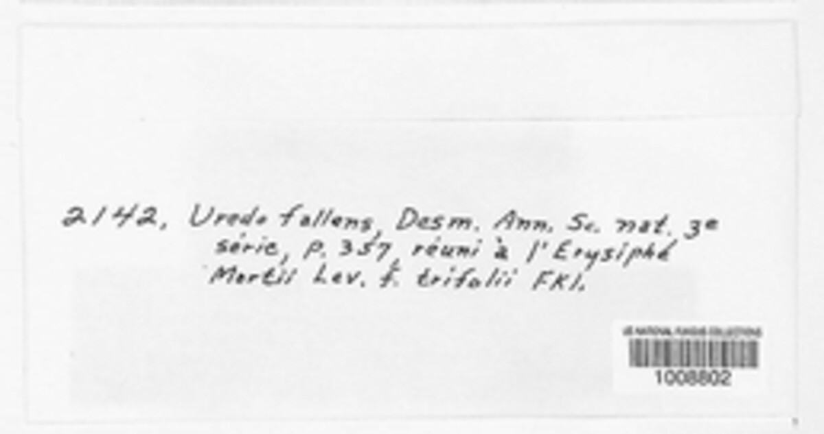Uromyces fallens image